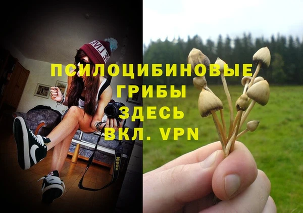 гашик Армянск