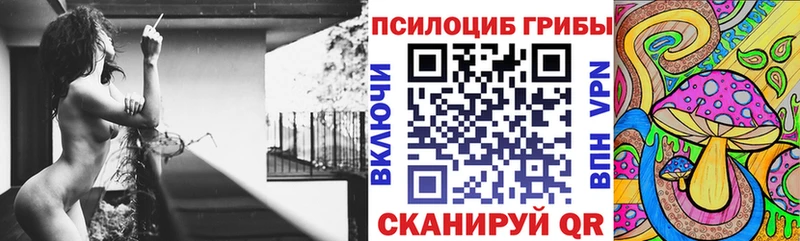 наркотики  Междуреченск  Галлюциногенные грибы Psilocybe 