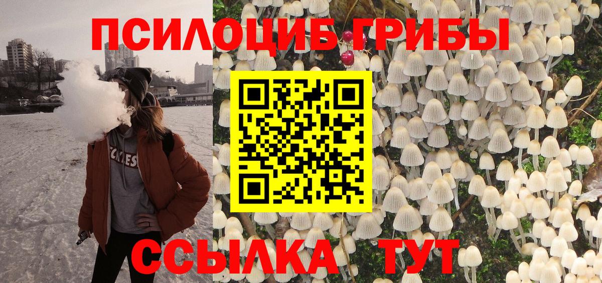 Псилоцибиновые грибы Psilocybe Междуреченск