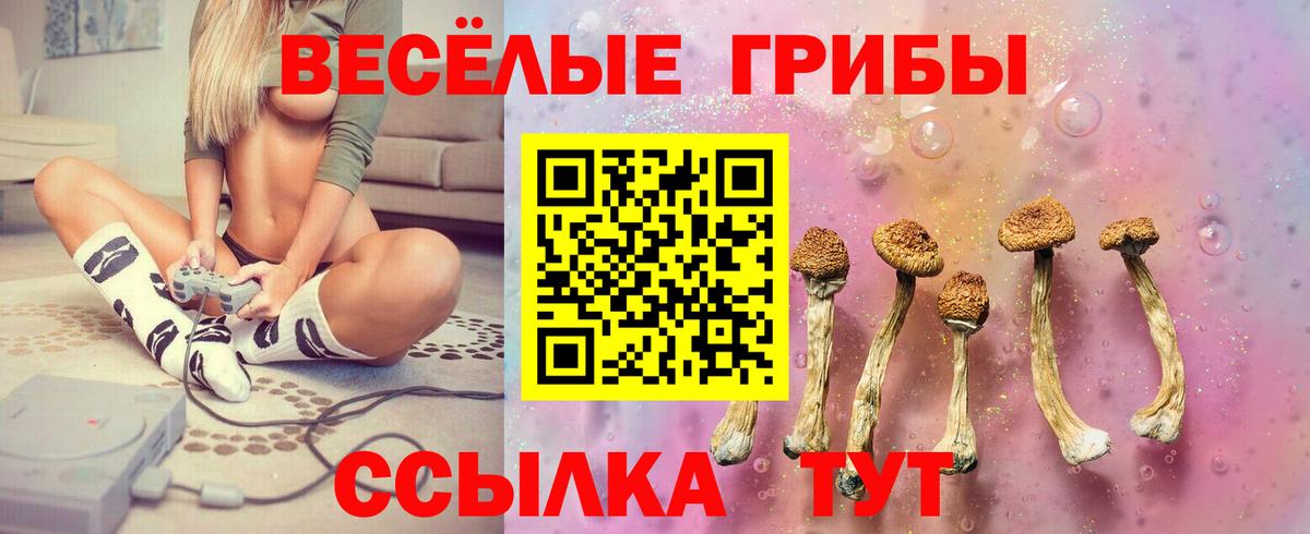 Междуреченск  Галлюциногенные грибы Magic Shrooms  Вход с VPN 